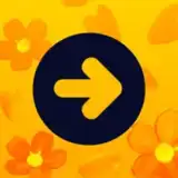 ONAY! Общественный транспорт