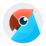 Youdao Translate