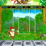 Crazy monkey slot