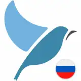 Bluebird Russian