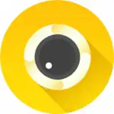V Camera