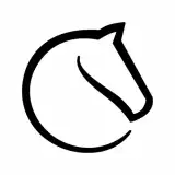 lichess