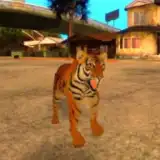Tiger Simulator