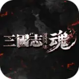 Three Kingdoms Soul