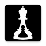 Bueno New Chess