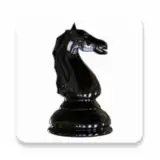 World Chess Championship