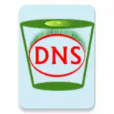 Flush DNS