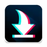 Downloader for TikTok