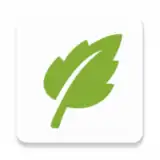 SGreen VPN