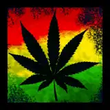 Crazy Colored Keyboard