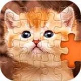 Puzzles without Internet