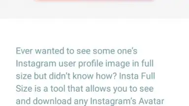 InstaFullSize скриншот 4
