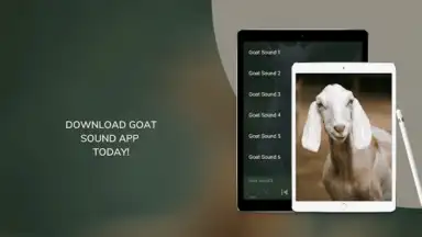 Goat Sounds скриншот 3