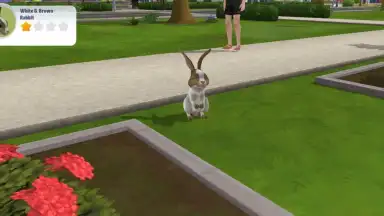 Virtual Sim Story: Dream Life скриншот 5