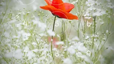 Secret Notes скриншот 1