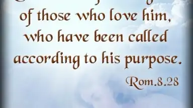 Bible Quotes Live Wallpaper скриншот 6