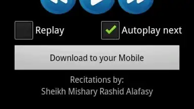 Quran MP3 With Indonesian скриншот 2