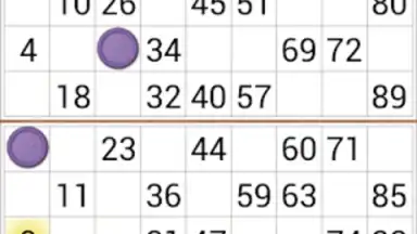 Loto Online скриншот 6