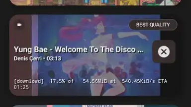 YTDLnis скриншот 8