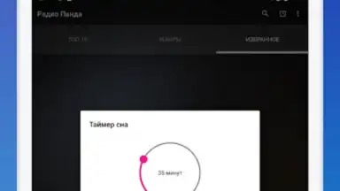 Радио Панда скриншот 1