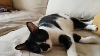 Open Camera скриншот 9