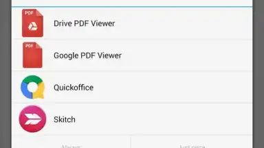 Google PDF Viewer скриншот 1