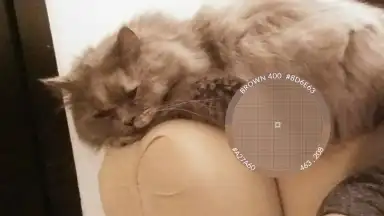 Pixolor скриншот 3