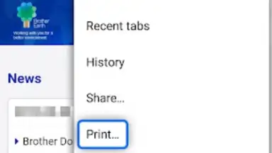 Brother Print Service Plugin скриншот 4