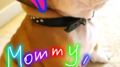 Kids Doodle - Color & Draw скриншот 6