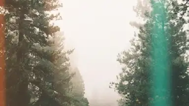 Snapchat lenses скриншот 2