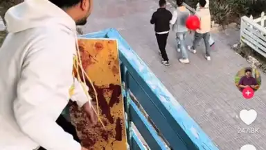 TikTok Pro скриншот 7