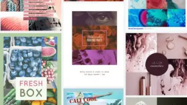 Adobe Spark Post скриншот 4