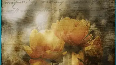 Secret Notes2 скриншот 8