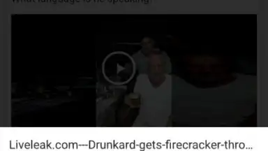 InShot Video Downloader скриншот 9