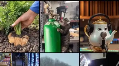 Sora by OpenAI скриншот 10