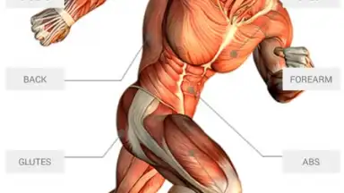 JEFIT скриншот 7