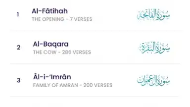 The Holy Quran - English скриншот 11