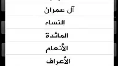 Holy Quran скриншот 5