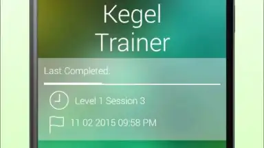 PFEI скриншот 6