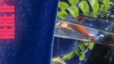 SoundCloud скриншот 9