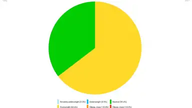 BP Log скриншот 1