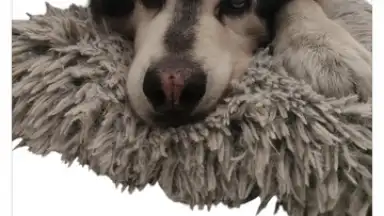 PhotoRoom скриншот 7