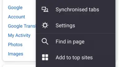 Iceraven Browser скриншот 2