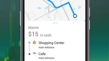 Taxsee Driver скриншот 3
