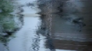 Five Nights at Freddy's AR: Special Delivery скриншот 2