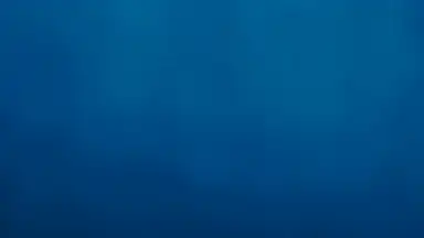 Digital Clock & World Weather скриншот 15