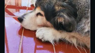 Filmora скриншот 21