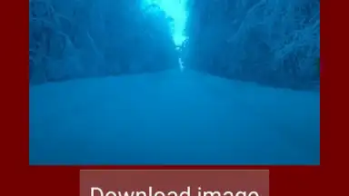 Скачать картинку видео из инстаграм скриншот 5