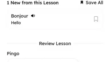 Pingo AI скриншот 10