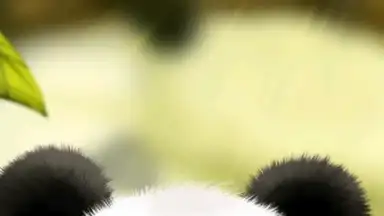 Panda Chub Live Wallpaper Free скриншот 2